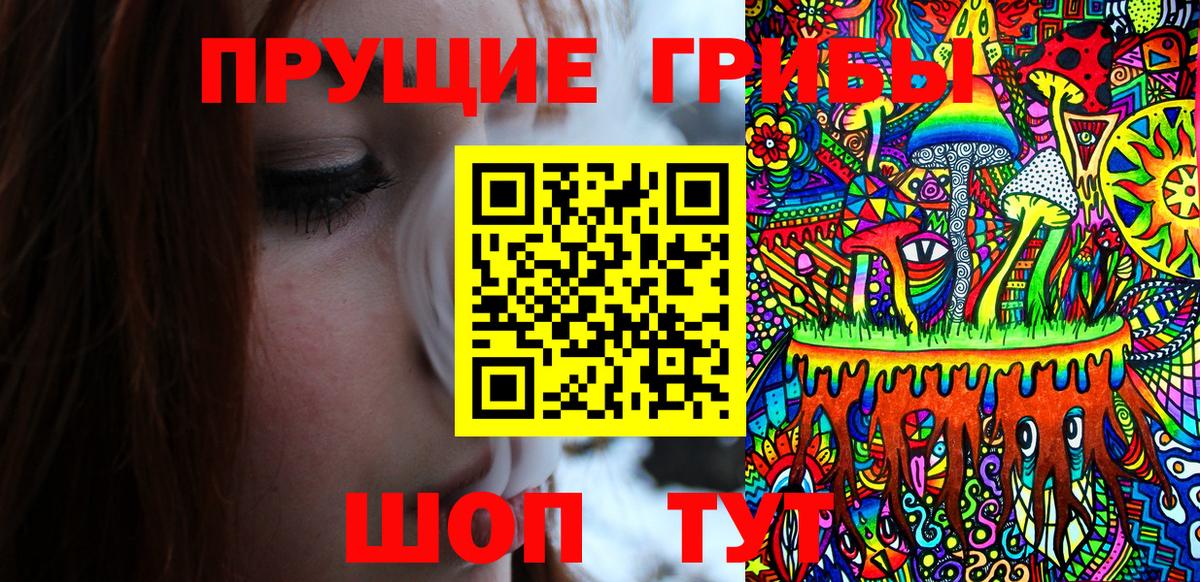 Корсаков  Псилоцибиновые грибы MAGIC MUSHROOMS  Галлюциногенные грибы Psilocybine cubensis  Вход с VPN 